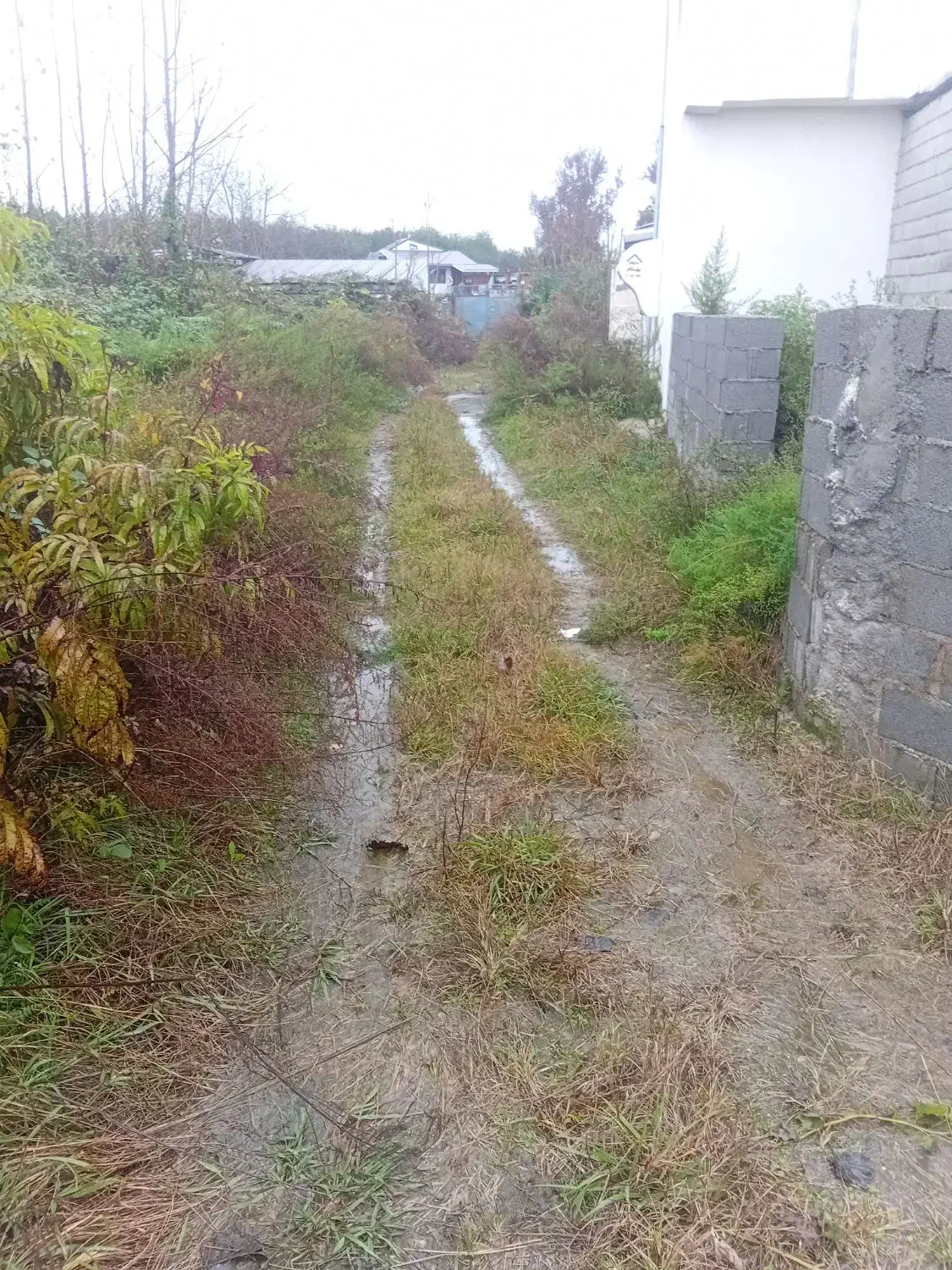 زمین باغی داخل شهر قابل ساخت منطقه ویلا سازی|فروش زمین و ملک کلنگی|رضوانشهر, |دیوار