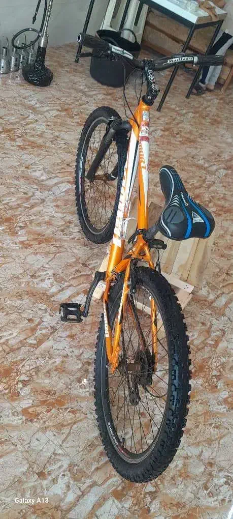 دوچرخه|دوچرخه، اسکیت، اسکوتر|قیدار, |دیوار