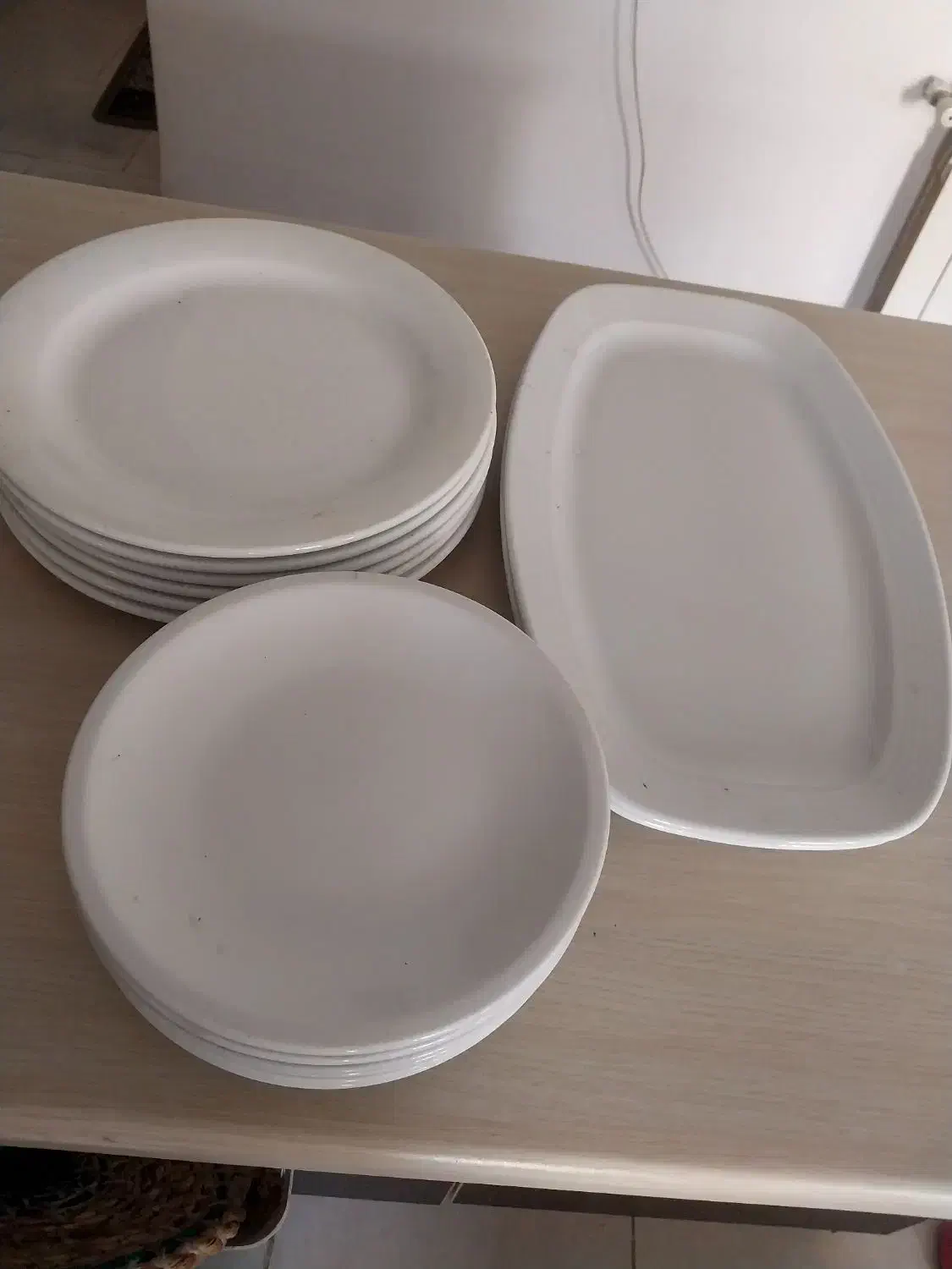 بشقاب زرین|ظروف سرو و پذیرایی|رشت, کوی مهر|دیوار