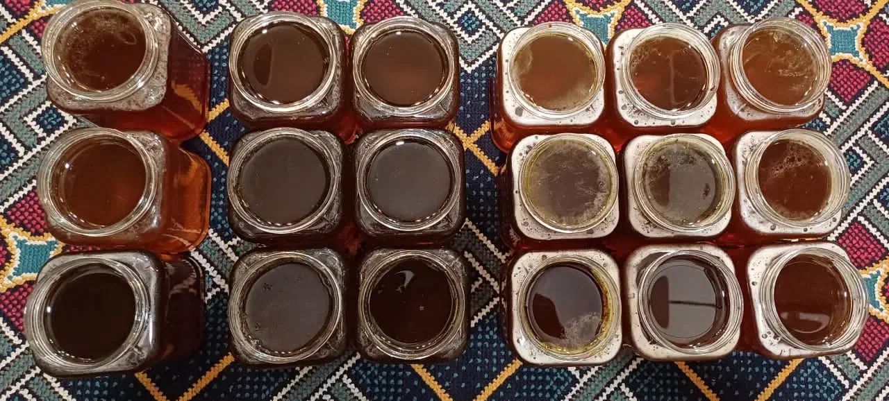 عسل های خالص گون بدون تغذیه شکر|خوردنی و آشامیدنی|شیراز, شهرک ایثار|دیوار
