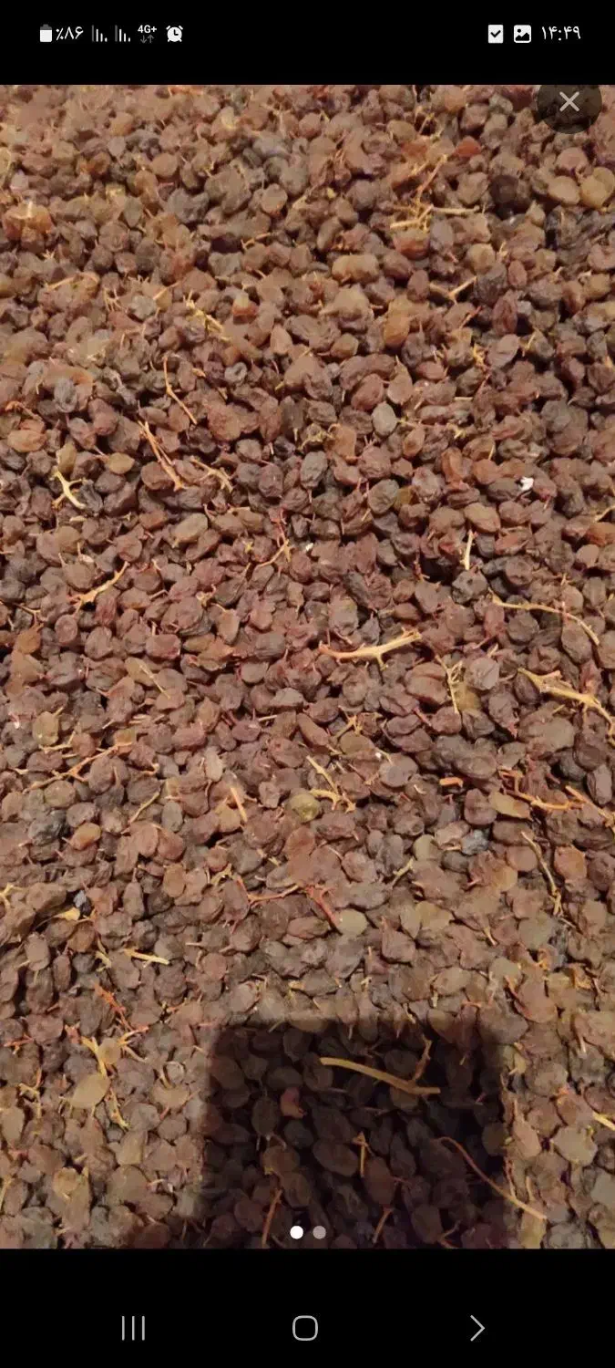 کشمش|خوردنی و آشامیدنی|تاکستان, |دیوار