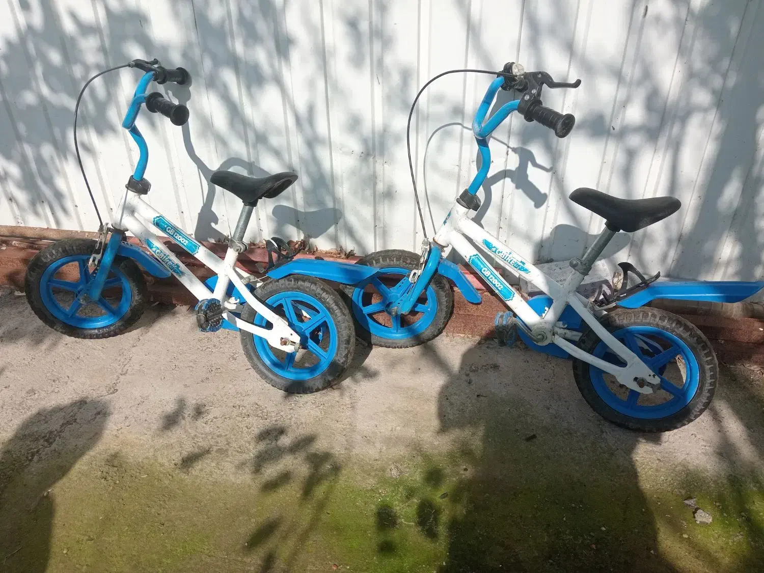 سایز ۱۲ هر کدوم ۱۲۰۰|دوچرخه، اسکیت، اسکوتر|لاهیجان, لیالستان|دیوار