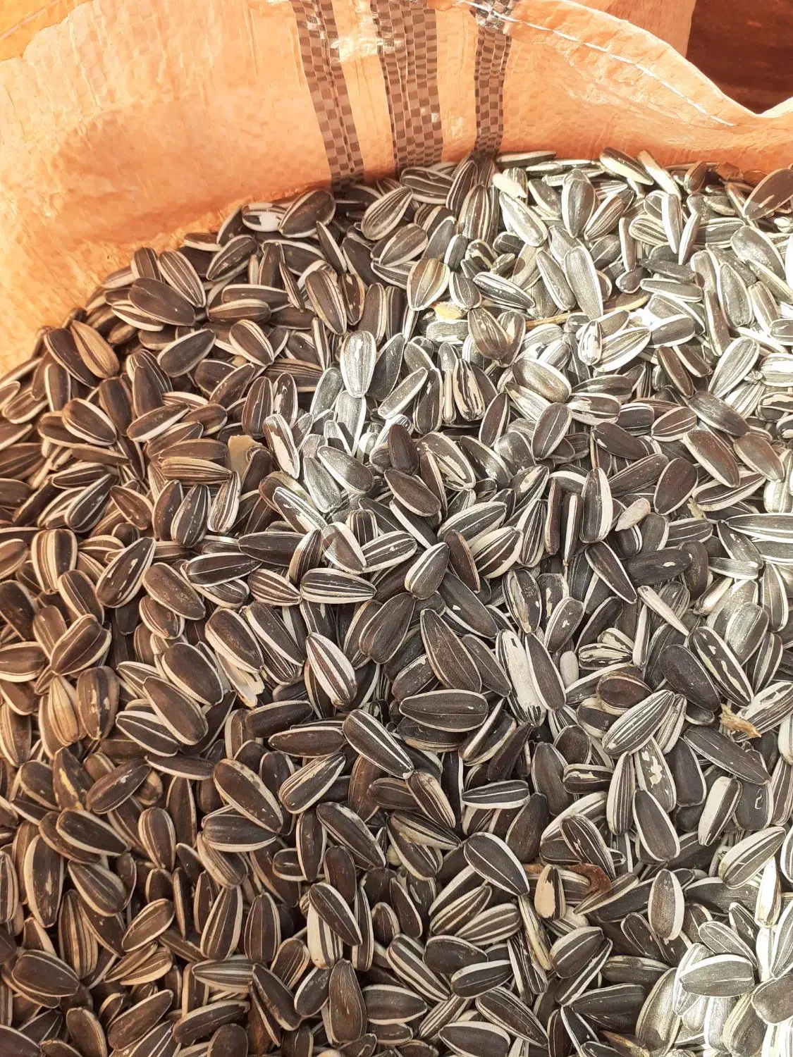 تخمهتازهدرشت|خوردنی و آشامیدنی|مشکیندشت, |دیوار