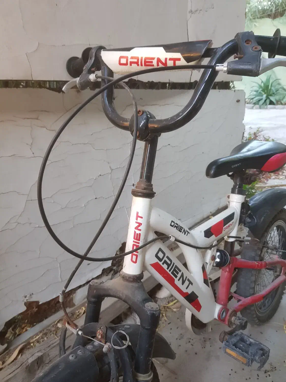 ۳ تا دوچرخه|دوچرخه، اسکیت، اسکوتر|بوشهر, |دیوار