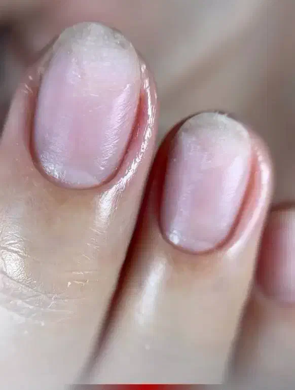 آموزش ناخن کلاس رفع اشکال اقتصادی|خدمات آموزشی|رشت, جهاد|دیوار