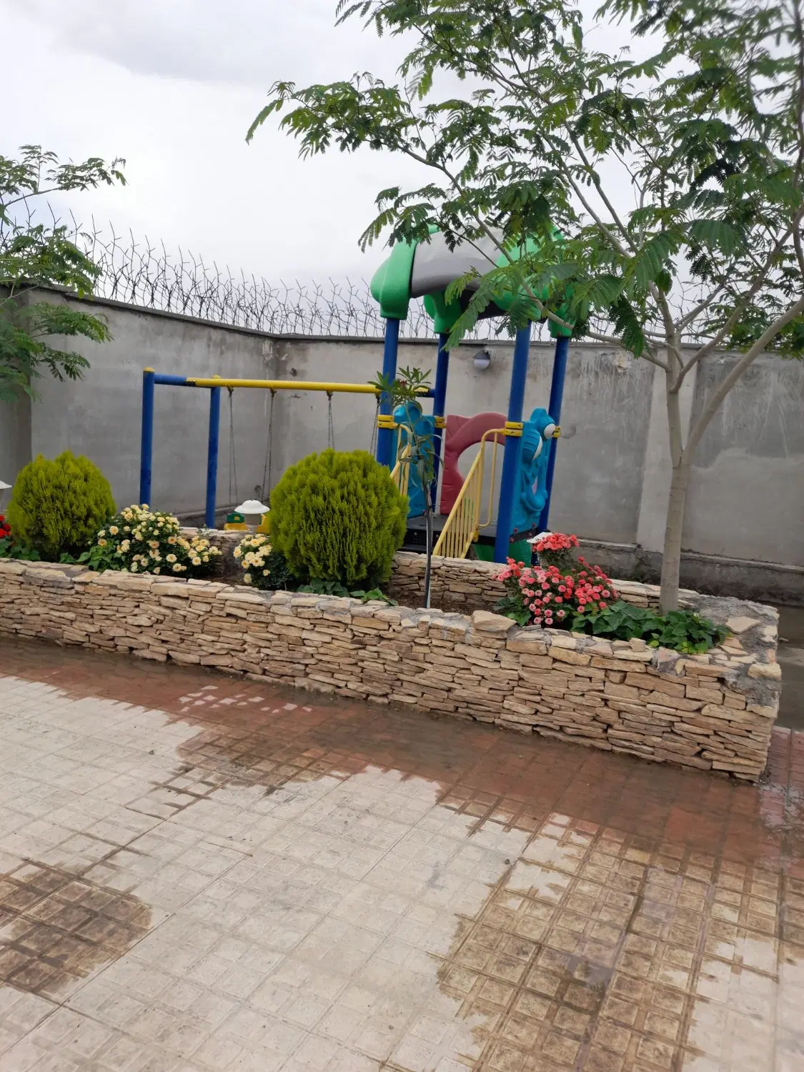 تصویر 6