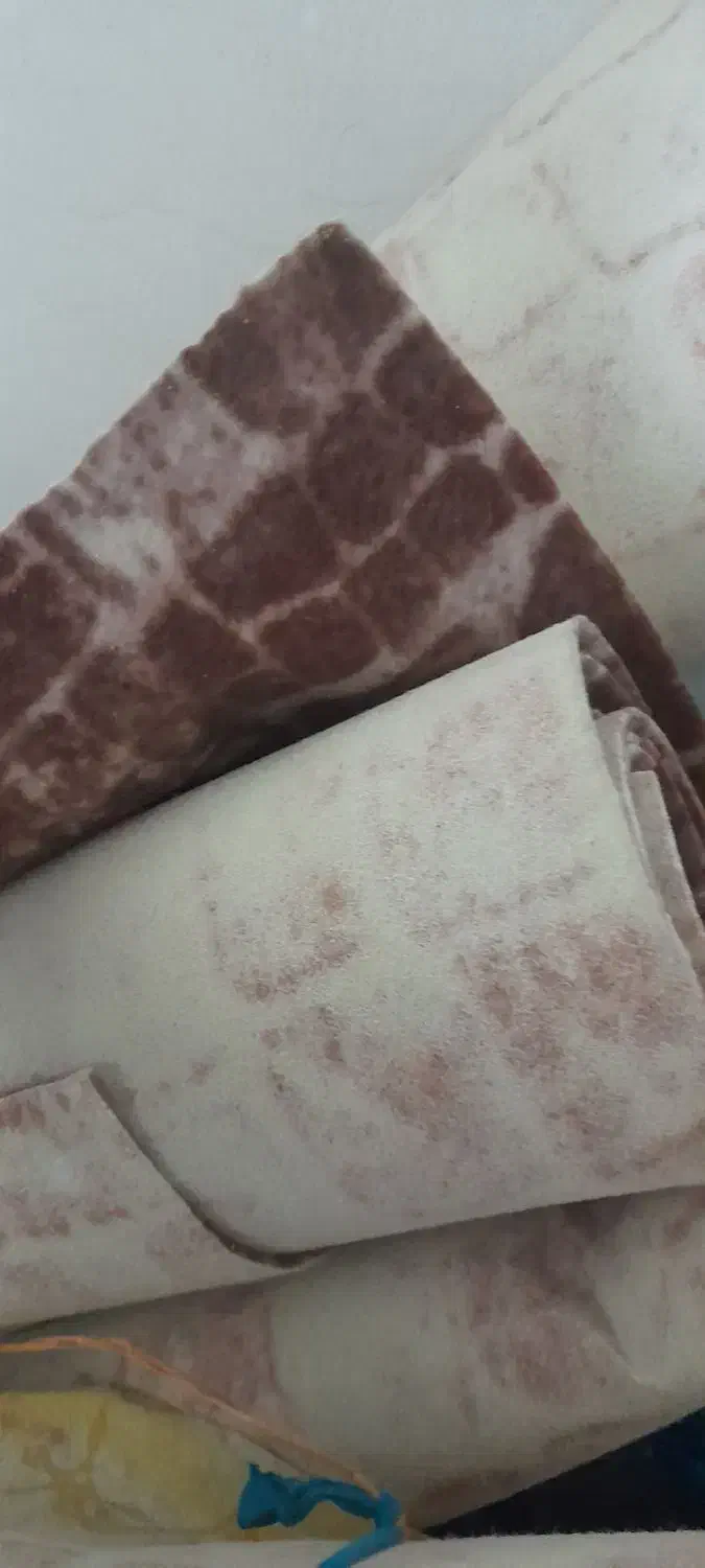 موکت|موکت|اراک, |دیوار