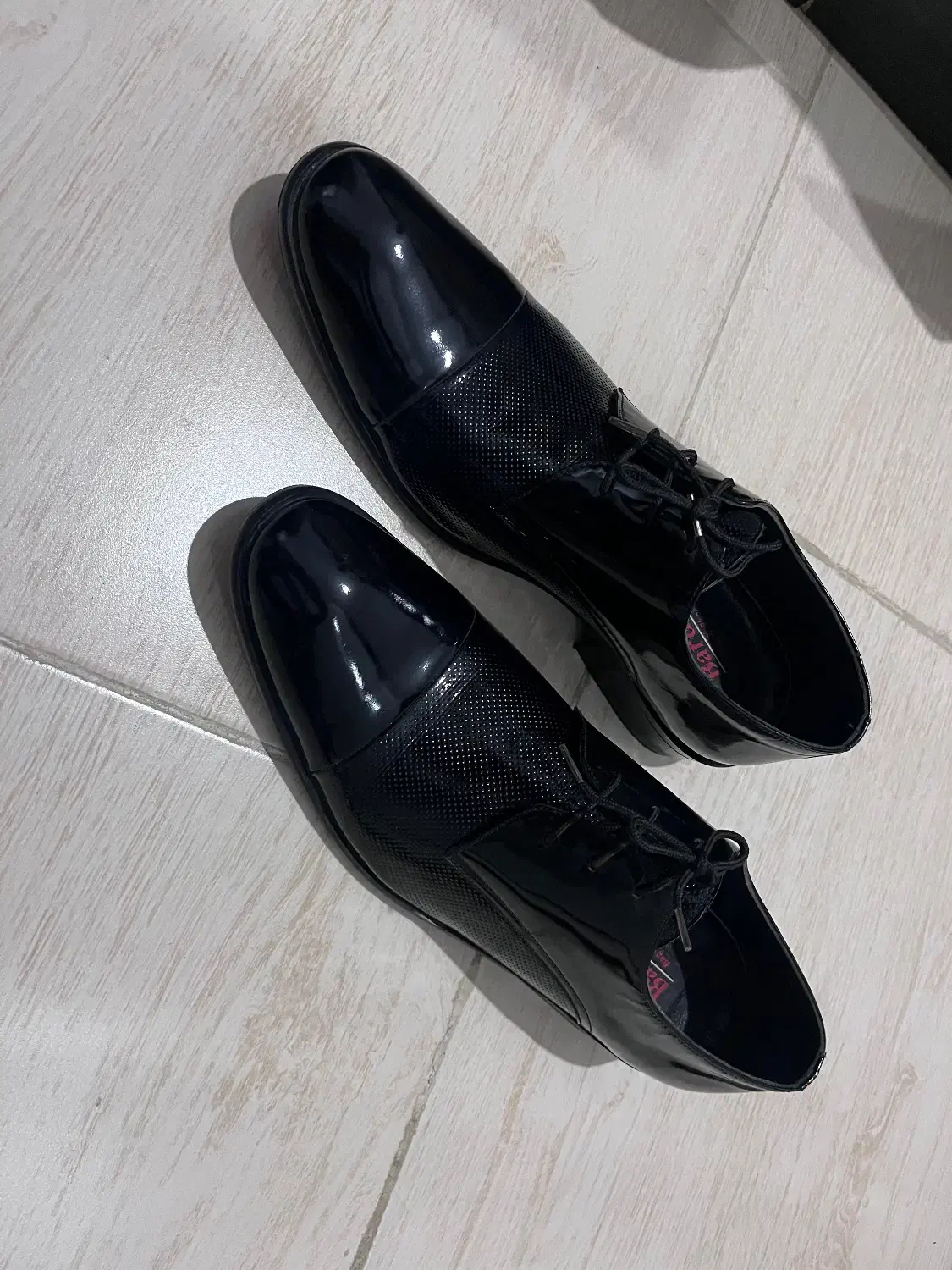 کفش مردانه مجلسی سایز ۴۱|کیف، کفش، کمربند|رشت, نظری|دیوار