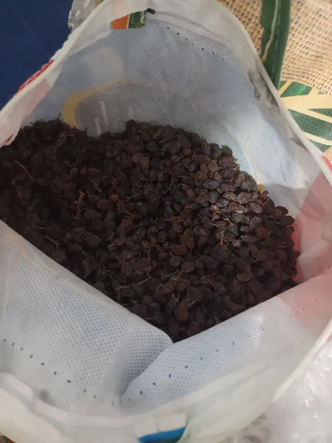 کشمش بیدانه افتابی|خوردنی و آشامیدنی|محمدیه-قزوین, |دیوار