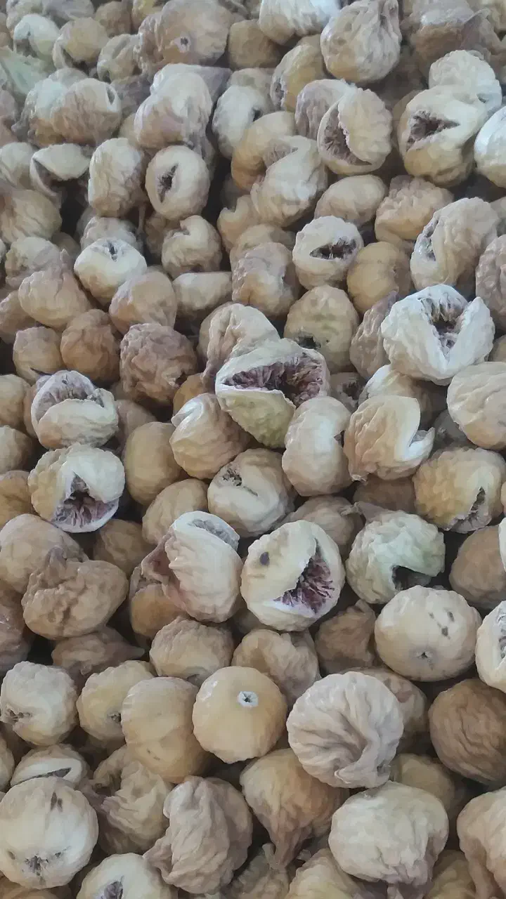 انجیر صدیک‌ و پرک درجه یک|عمده‌فروشی|شیراز, انجیر|دیوار