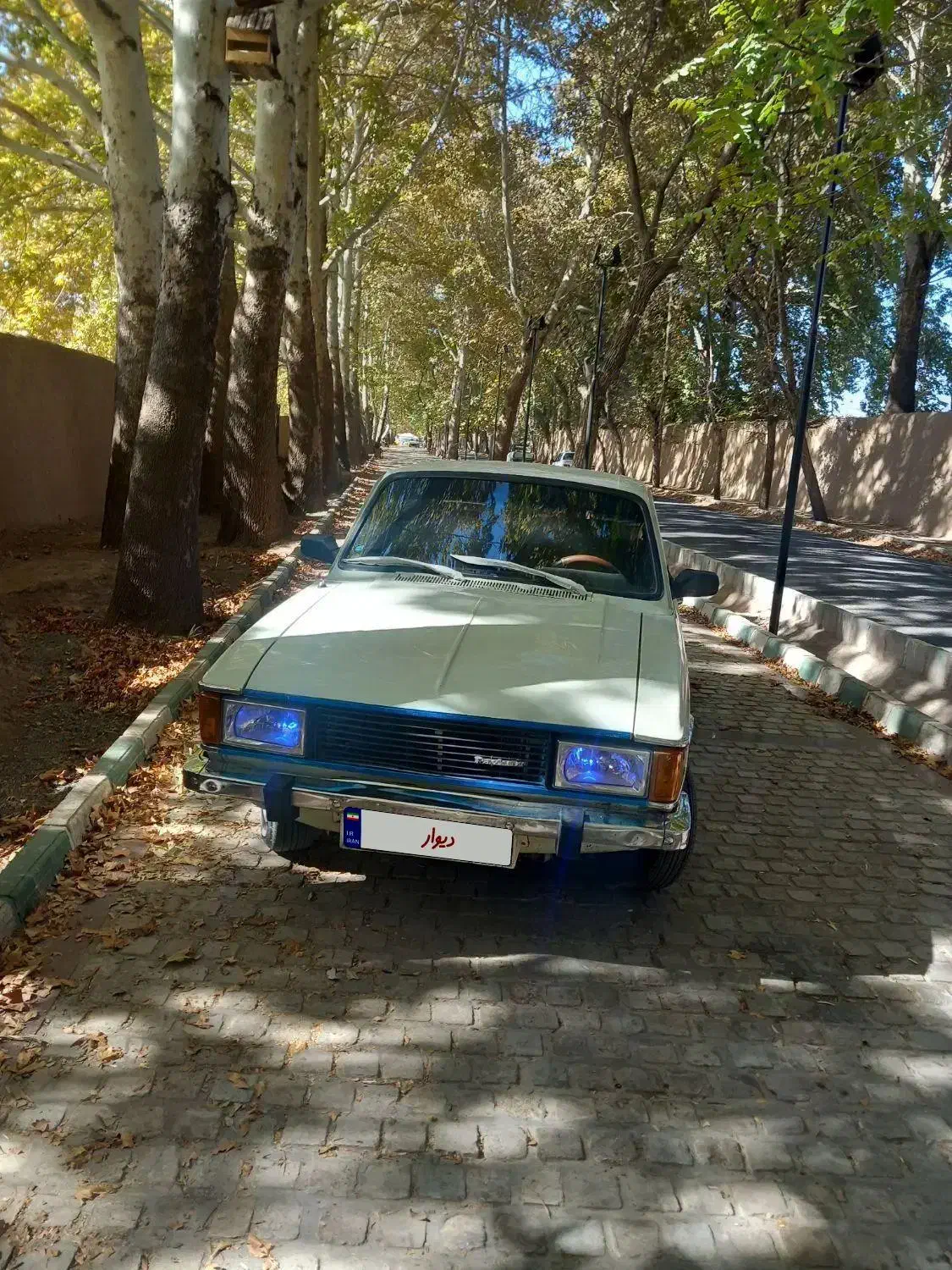 پیکان مدل۸۱|خودرو سواری و وانت|راین, |دیوار