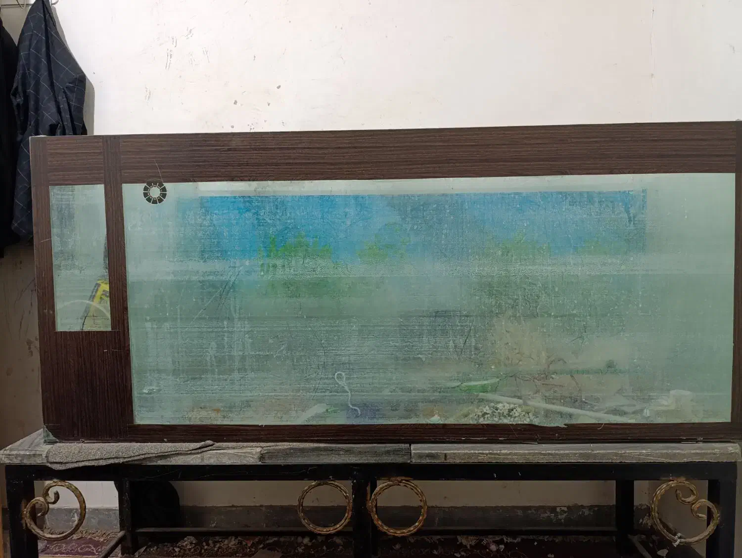 آکواریوم|ماهی|ایرانشهر, |دیوار