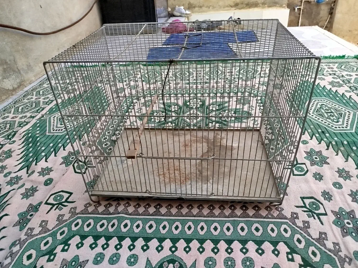 قفس پرنده بسیار محکم و بدون شکستگی|پرنده|سرپل ذهاب, |دیوار