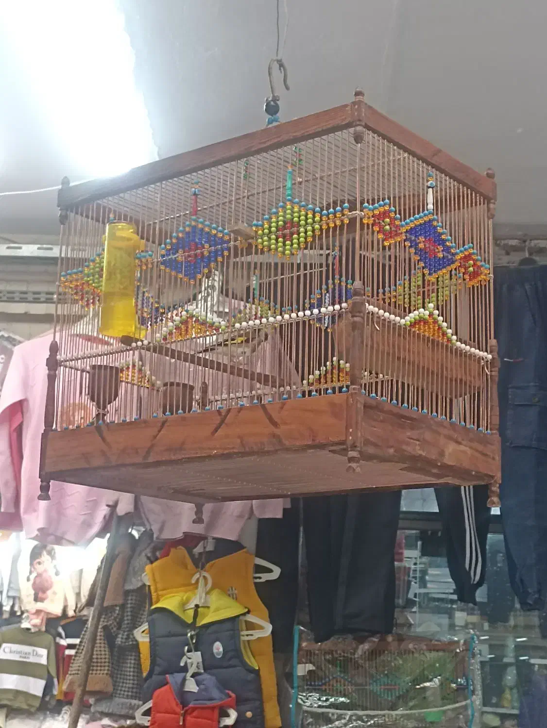 انواع سهره قناری چهار گل قفس چوبی وغیر، تماس|پرنده|مشهد, عنصری|دیوار