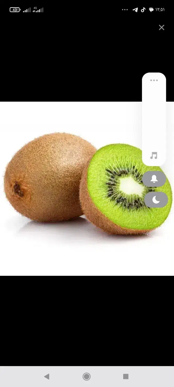 حدود 200کیلو کیوی کیلویی 80تومان آماده داخل سبد|عمده‌فروشی|بندر انزلی, چهارفریضه|دیوار