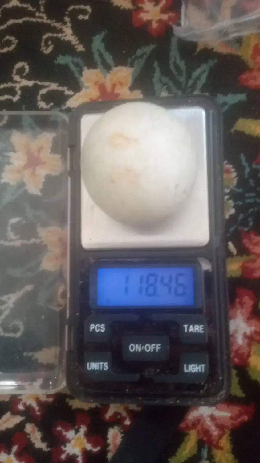 سنگ الماس اسیاب اصلی قیمت توافقی|جواهرات|درگز, |دیوار