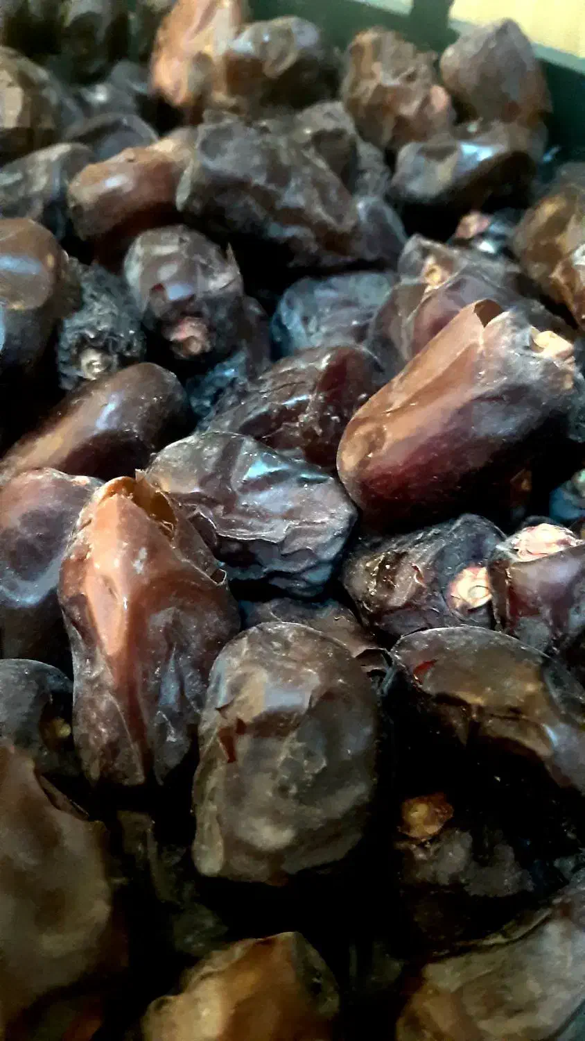 خرمای گنتار محصول امسال باغ|خوردنی و آشامیدنی|شیراز, باغ تخت|دیوار