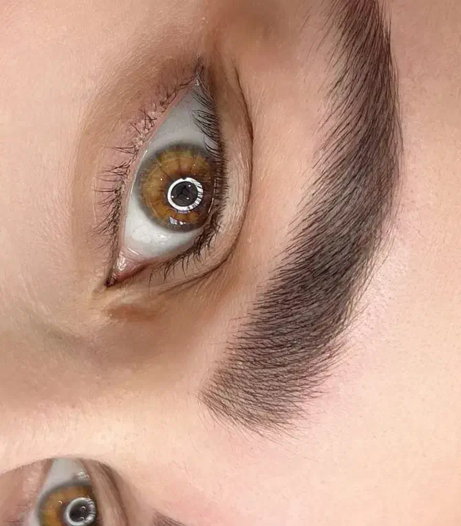 مدل میکروبلیدینگ و شیدینگ لب|خدمات آرایشگری و زیبایی|زرند, |دیوار