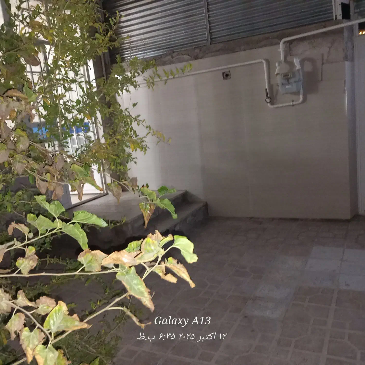 ویلایی دربست 130 متری تک خواب|اجارهٔ خانه و ویلا|تربتحیدریه, ده پائین|دیوار