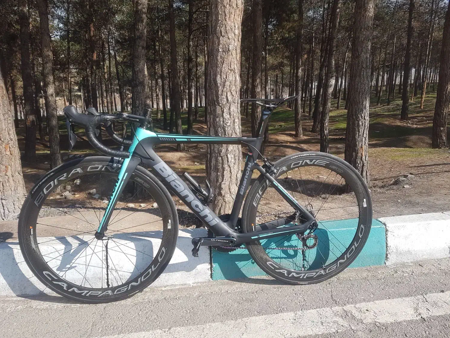 دوچرخه کورسی بیانچی(جاینت اسکات مریدا کربن کنندال)|دوچرخه، اسکیت، اسکوتر|تهران, هفت حوض|دیوار