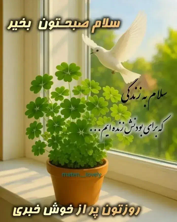 به یک پرستار خانم جهت نگهداری سالمند خانم|استخدام درمانی، زیبایی، بهداشتی|دورود, |دیوار