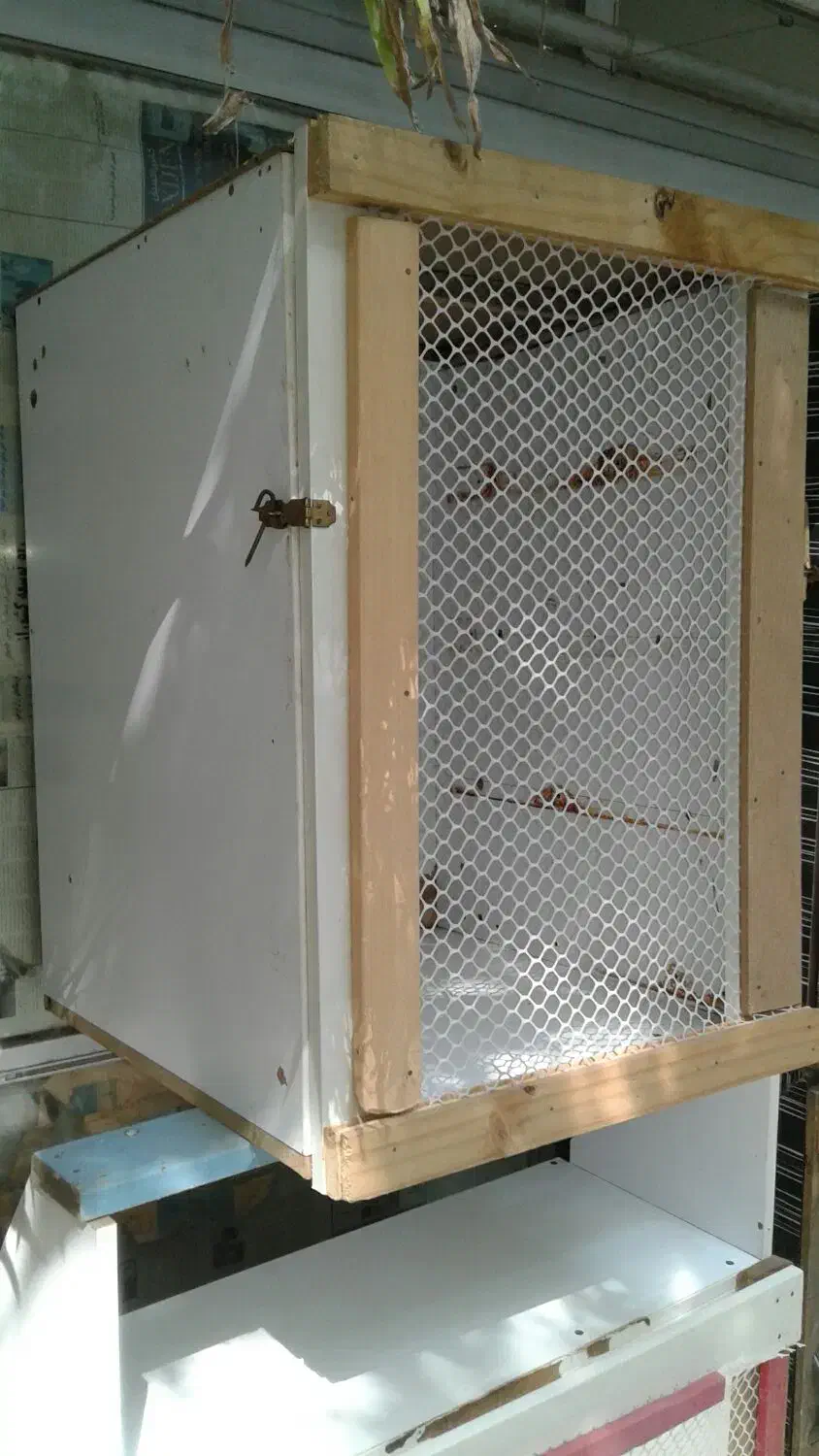 لانه پرنده.جفت.کن.و حیوانات.|لوازم جانبی حیوانات|گرگان, |دیوار