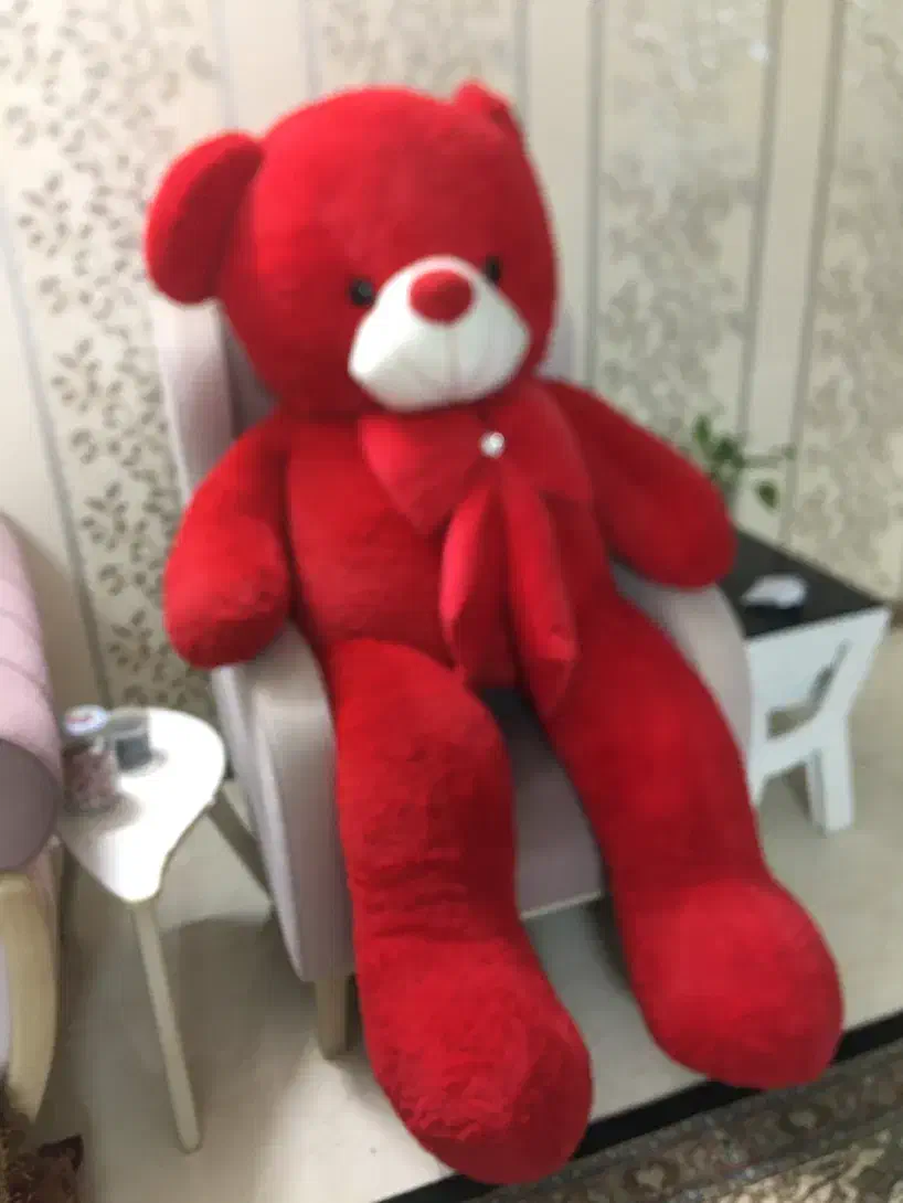 خرس شاسخین|اسباب‌‌بازی|طرقبه, |دیوار