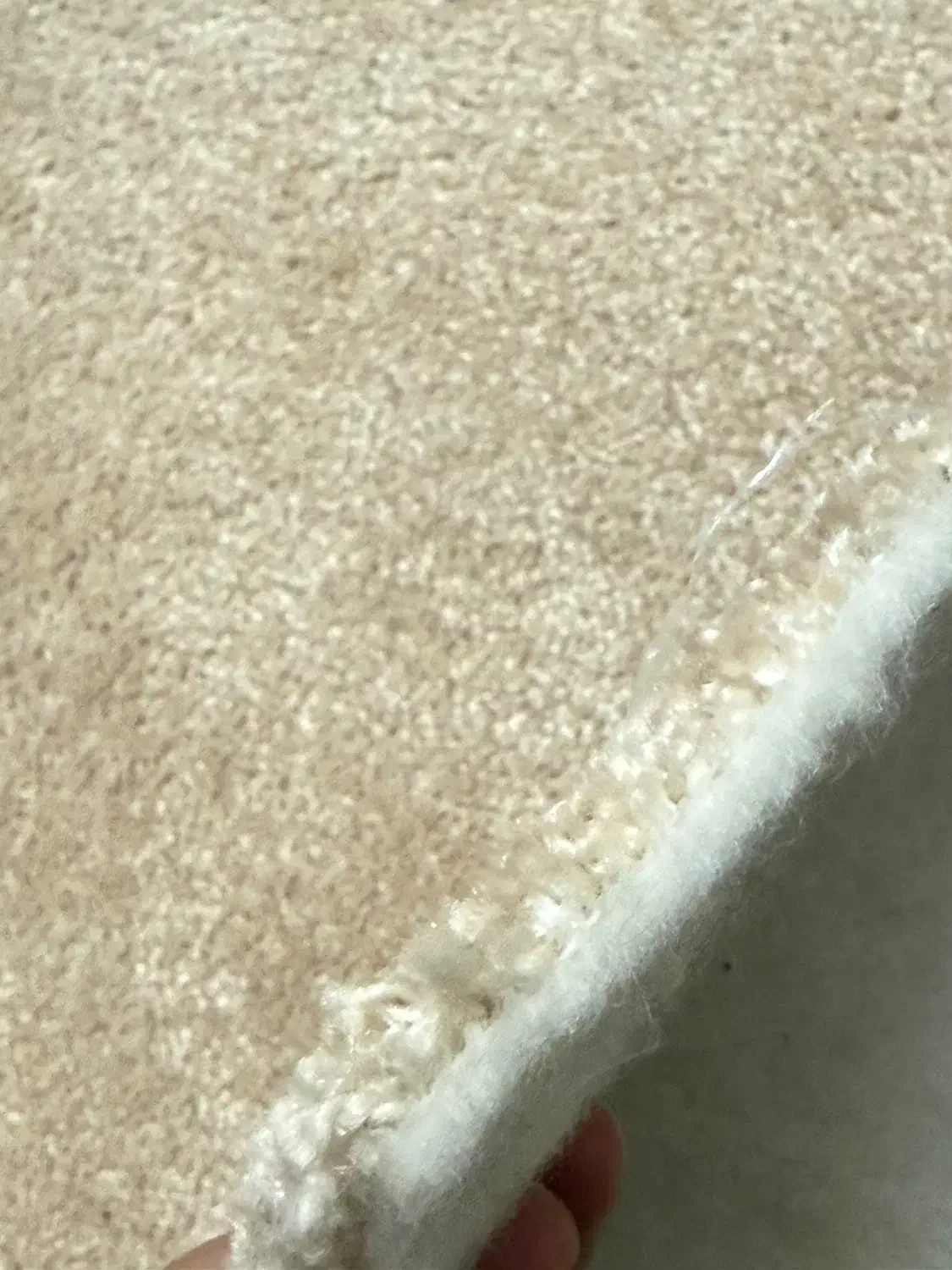 پالاز موکت کاملا سالم|موکت|اردبیل, |دیوار