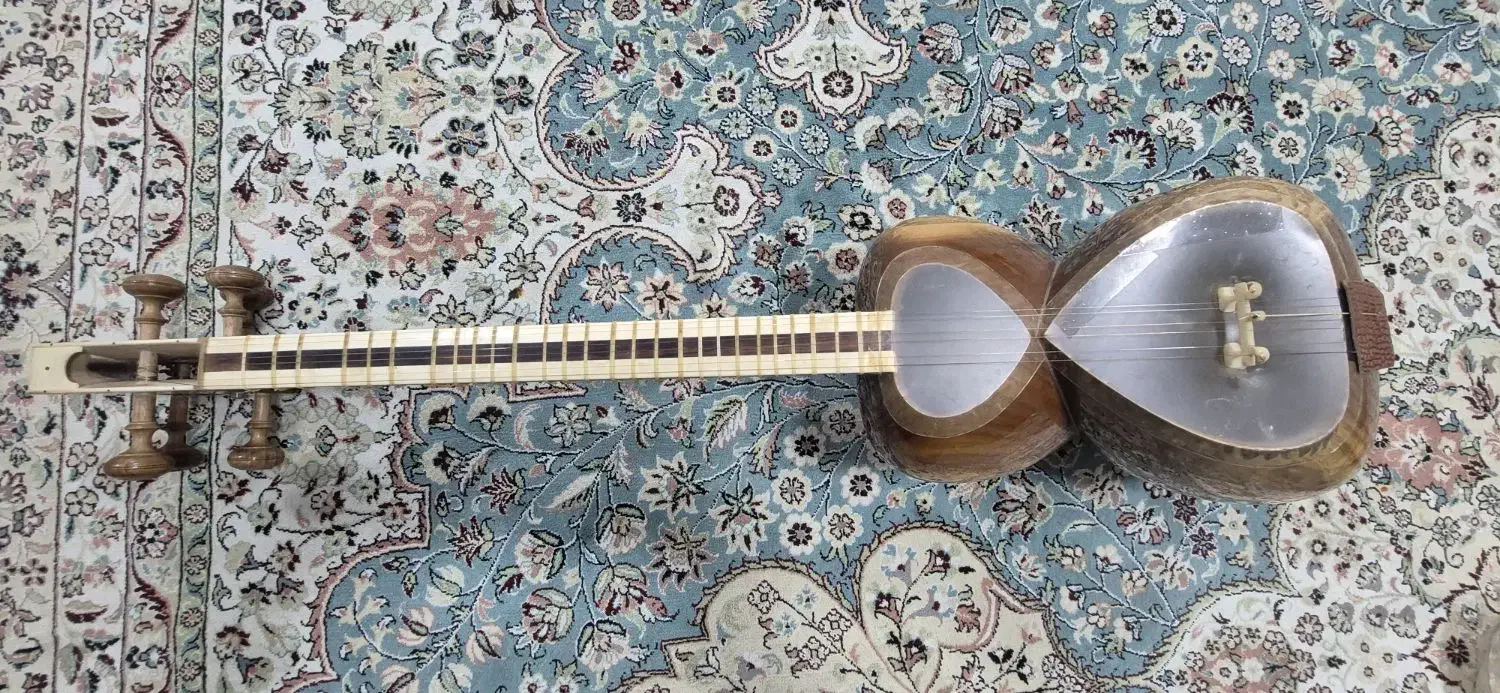 تار ابراهیم برزی|سازهای سنتی|بوشهر, |دیوار