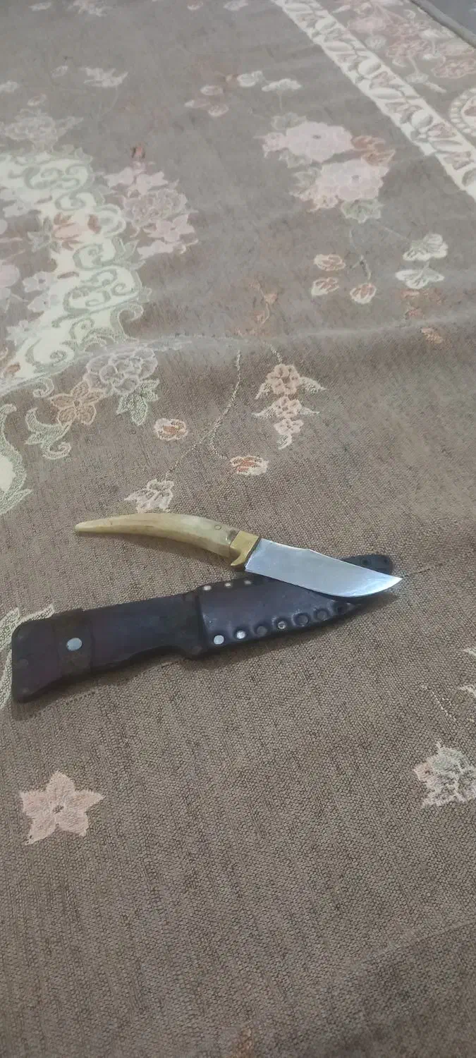 چاقو خوش دست|کوهنوردی و کمپینگ|آزادشهر, |دیوار