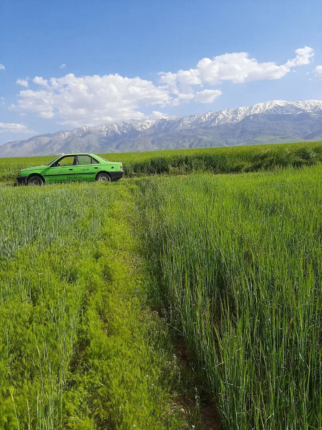 زمین دیم کشاورزی|فروش دفتر صنعتی، کشاورزی، تجاری|نهاوند, |دیوار