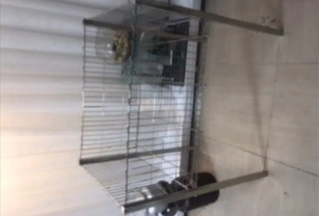 سبد|ظروف نگهدارنده، پلاستیکی، یک‌بارمصرف|خرم‌آباد, |دیوار