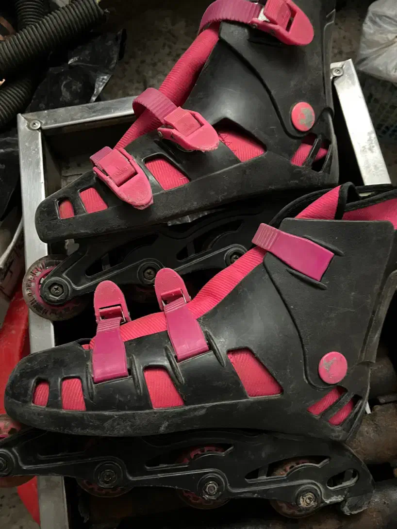 اسکیت|دوچرخه، اسکیت، اسکوتر|ملایر, |دیوار