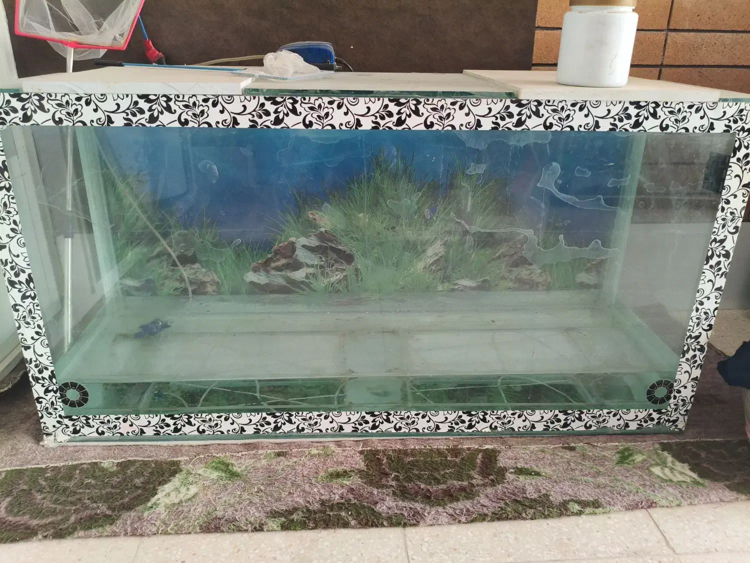 آکواریوم|ماهی|یزد, |دیوار