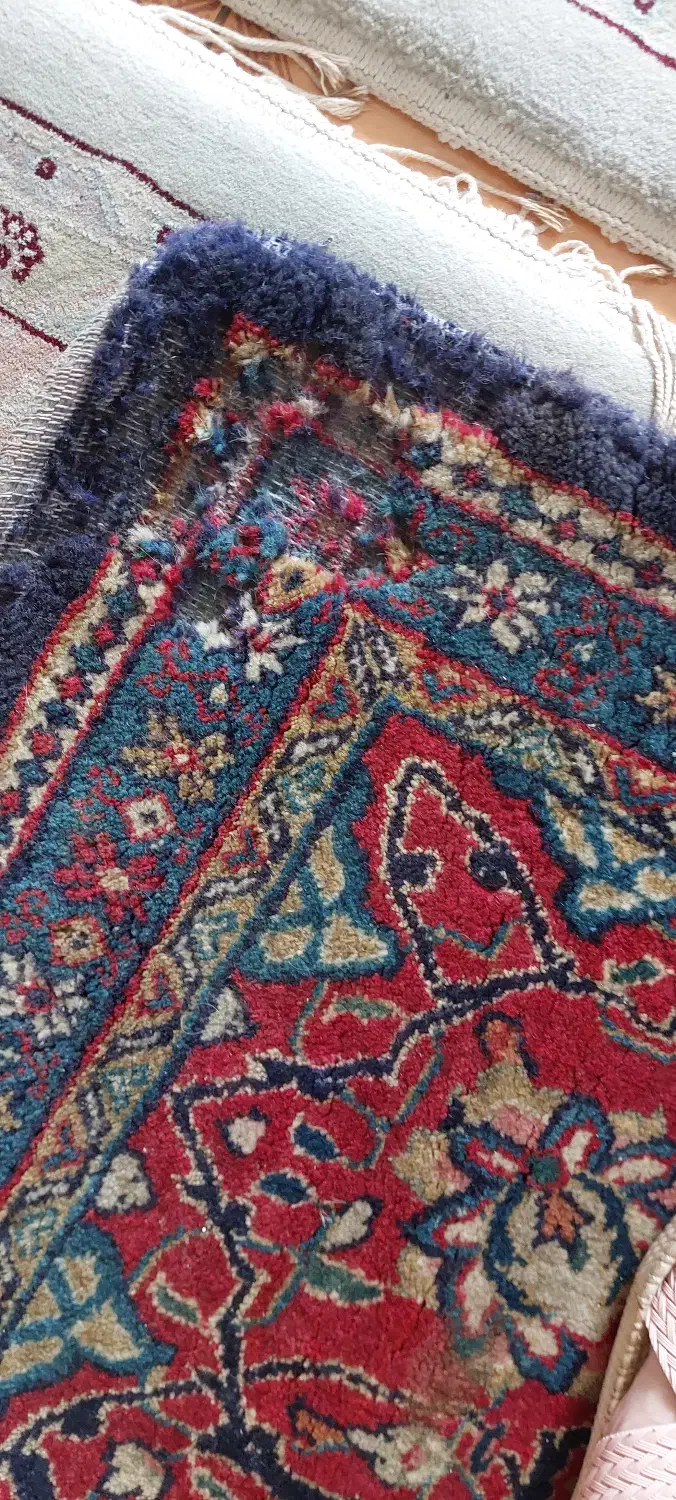 فروش فرش دستی|فرش|رشت, بلوار گیلان|دیوار