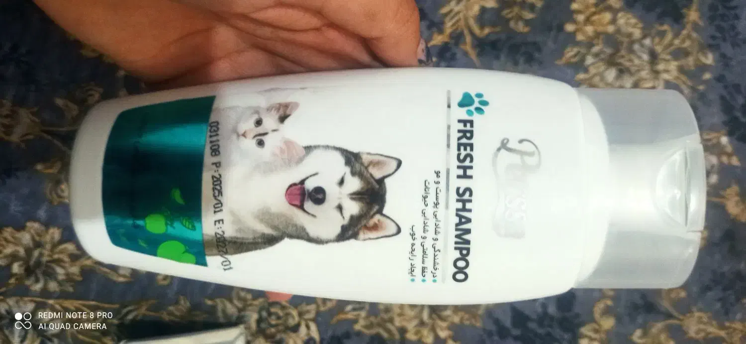 وسایل پت|لوازم جانبی حیوانات|شیراز, محراب|دیوار