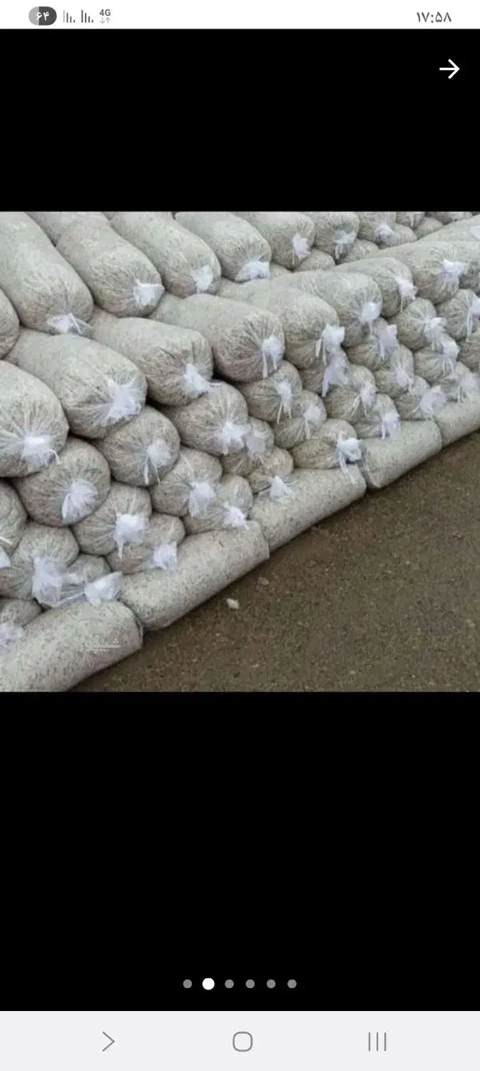 تفاله چغندر پرس شده|حیوانات مزرعه|سرعین, |دیوار