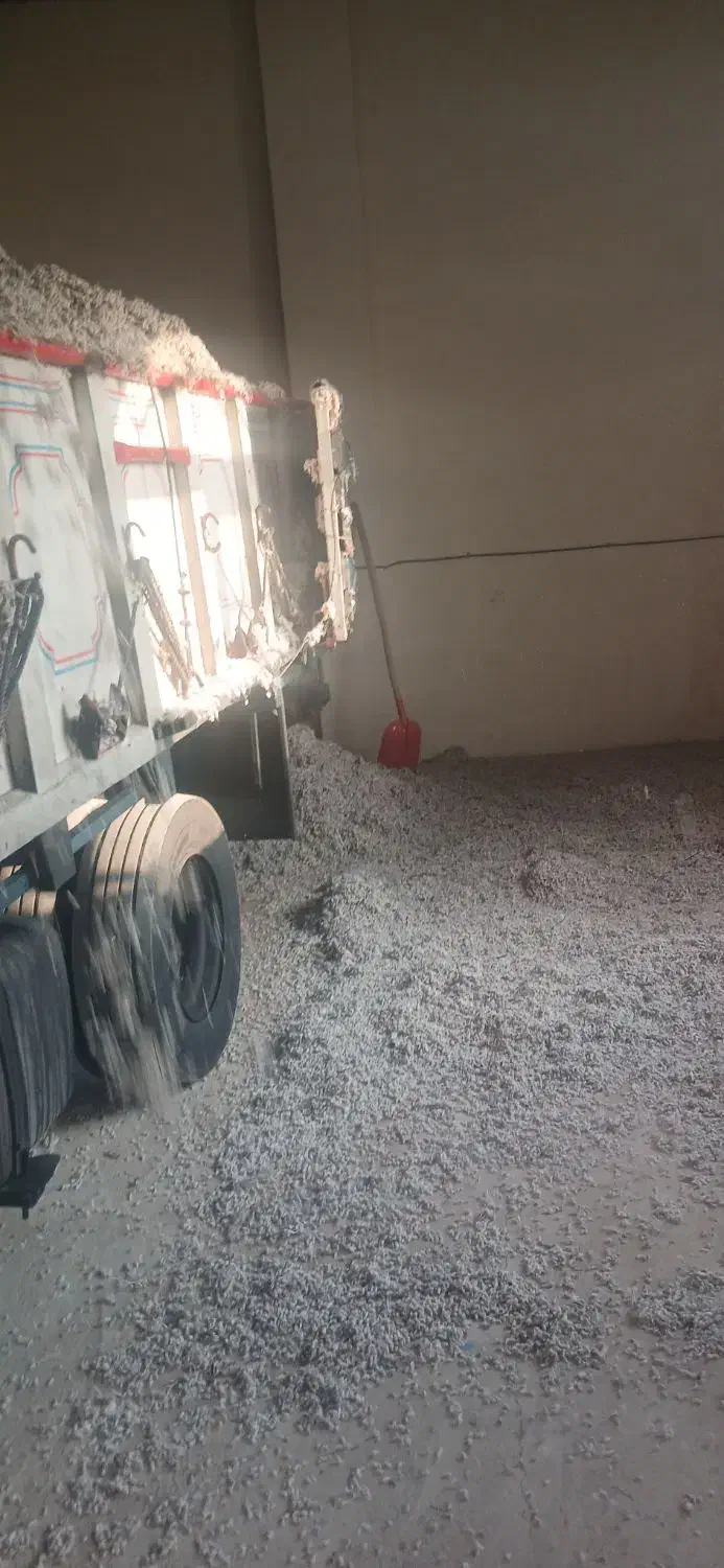 فروش تخم پنبه تحویل درب گاوداری و دامداری|حیوانات مزرعه|نسیمشهر, |دیوار