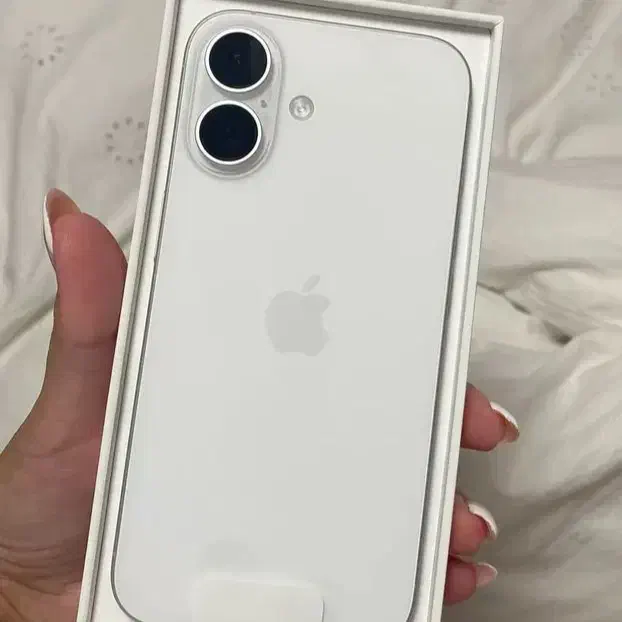 ایفون 16 نرمال سایکل 60*رجیستر شده|موبایل|مشهد, گوهرشاد|دیوار