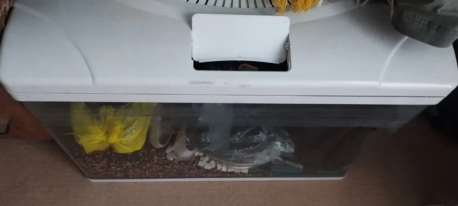 آکواریوم شیشه خم|ماهی|اسلام‌شهر, شهرک مهدیه|دیوار