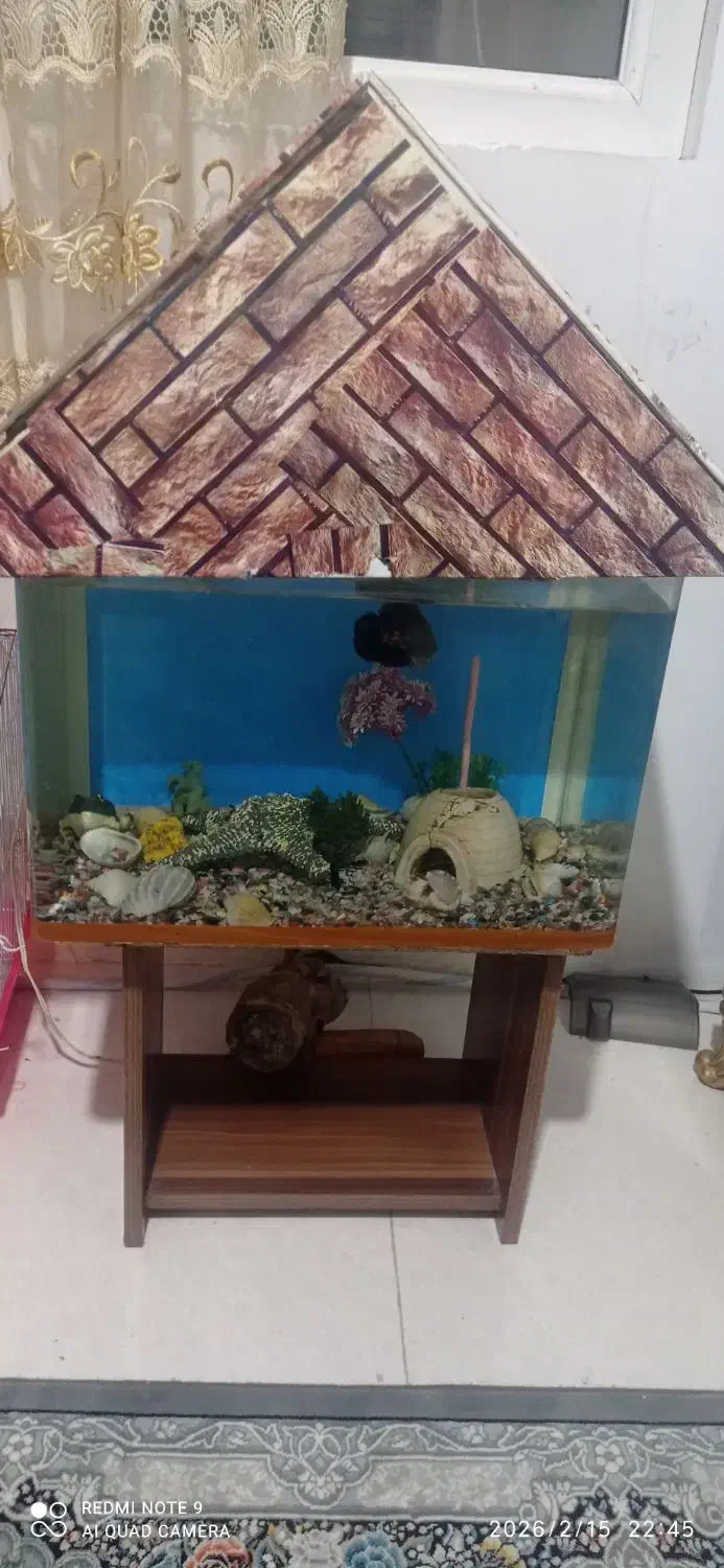 آکواریوم|ماهی|ماهدشت, |دیوار