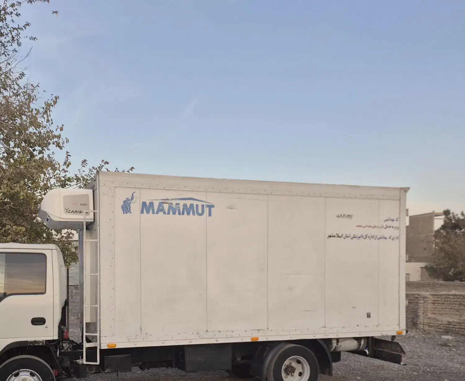 یخچال زیر صفری جک الوندایسوزو فورس فوسو اتاق ماموت|قطعات یدکی و لوازم جانبی|اسلام‌شهر, شاطره|دیوار