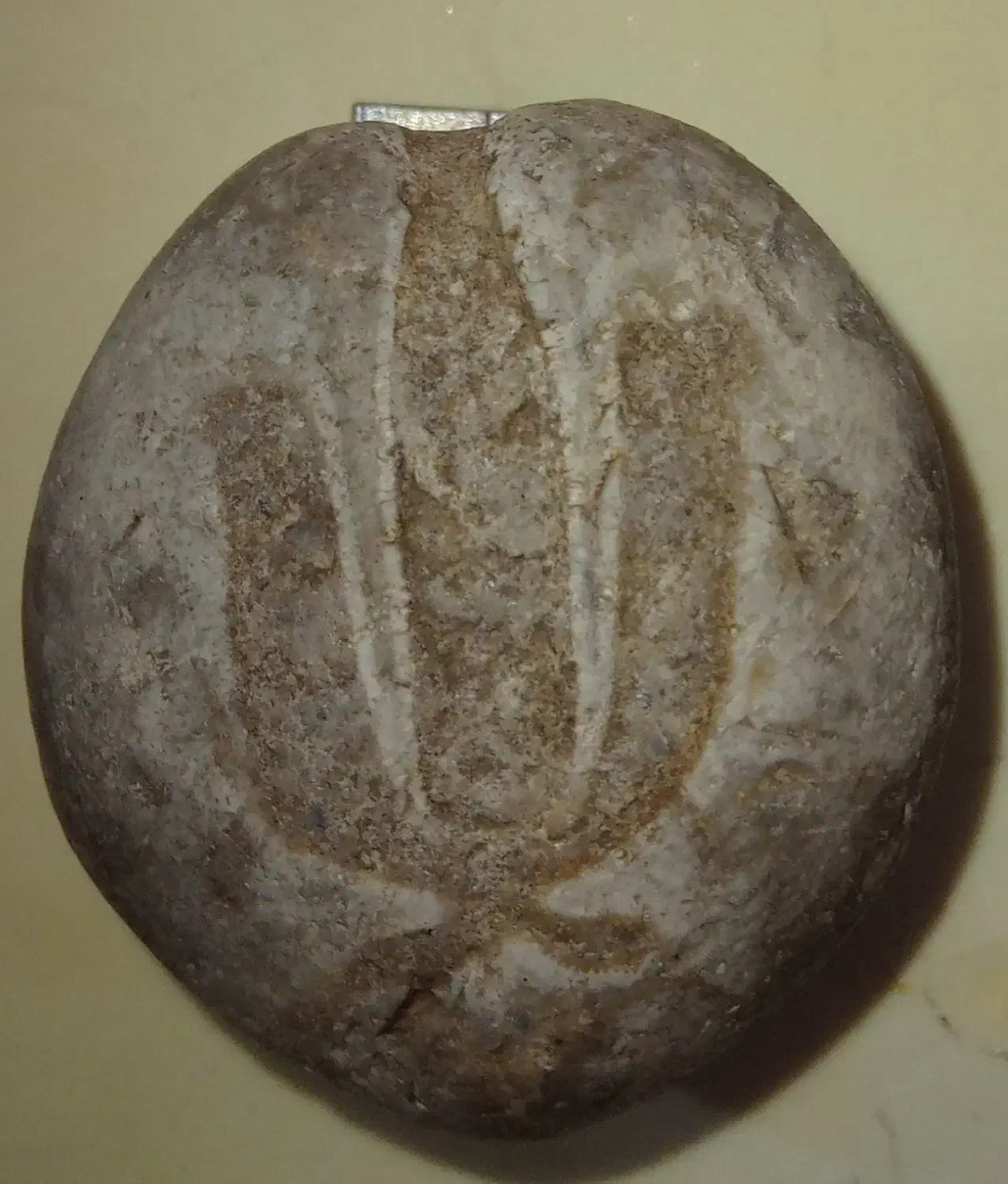 یک عدد سنگ کلکسیونی و نایاب|کلکسیون اشیاء عتیقه|برازجان, |دیوار