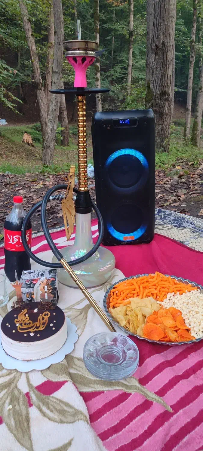 باند اسپیکر|سیستم صوتی خانگی|چالوس, |دیوار