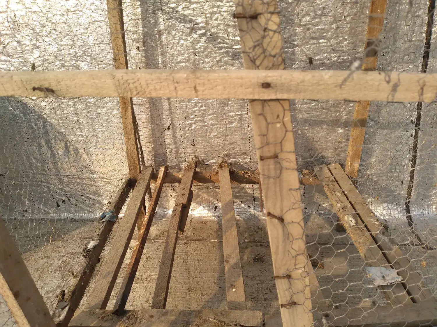 قفس کبوتر به فروش میرسد|لوازم جانبی حیوانات|کردکوی, |دیوار