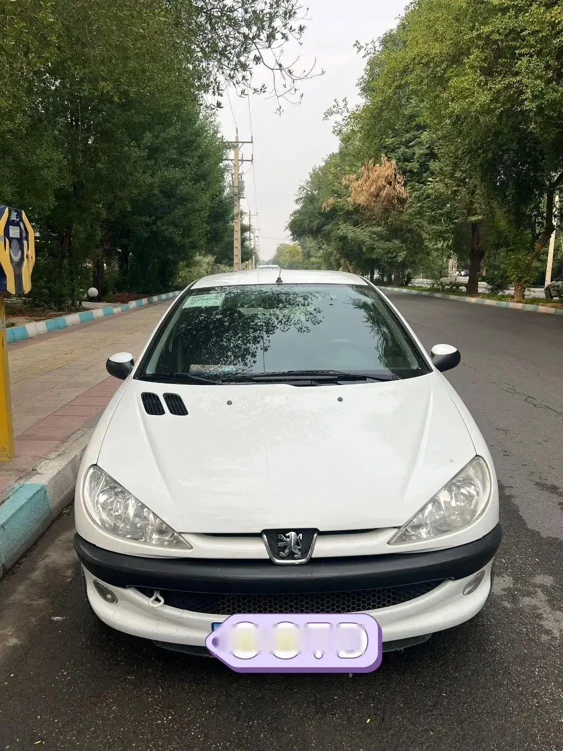 206 مدل 96|خودرو سواری و وانت|دزفول, |دیوار