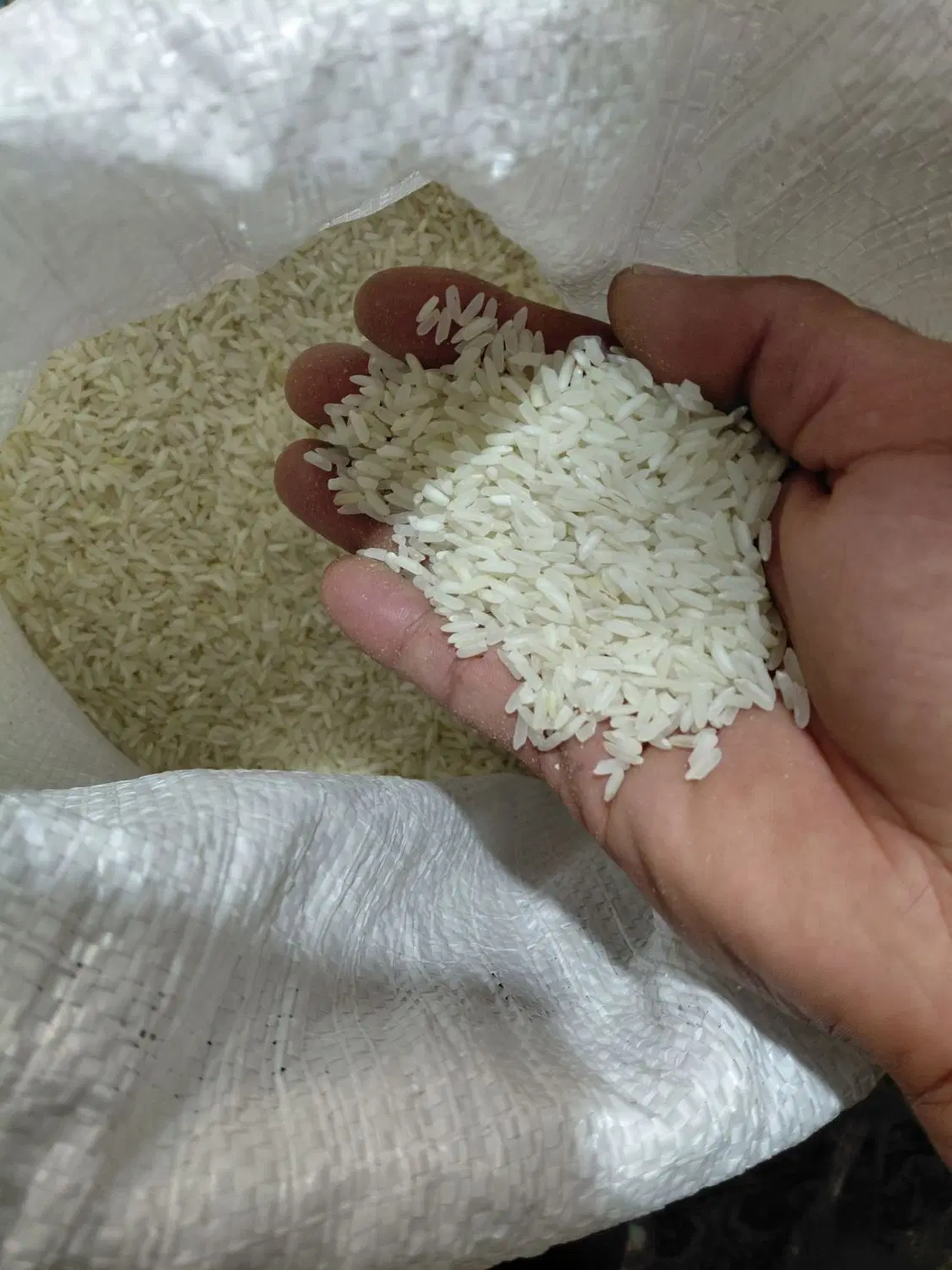 برنج|خوردنی و آشامیدنی|تهران, صاحب الزمان|دیوار
