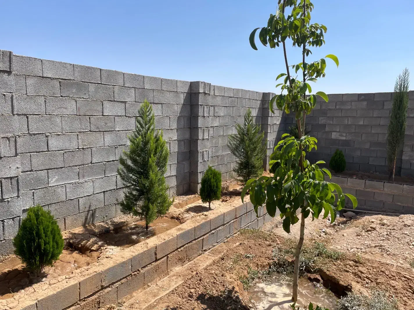 باغشهری اهل بیت|فروش زمین و ملک کلنگی|شیراز, باغشهر اهل بیت|دیوار