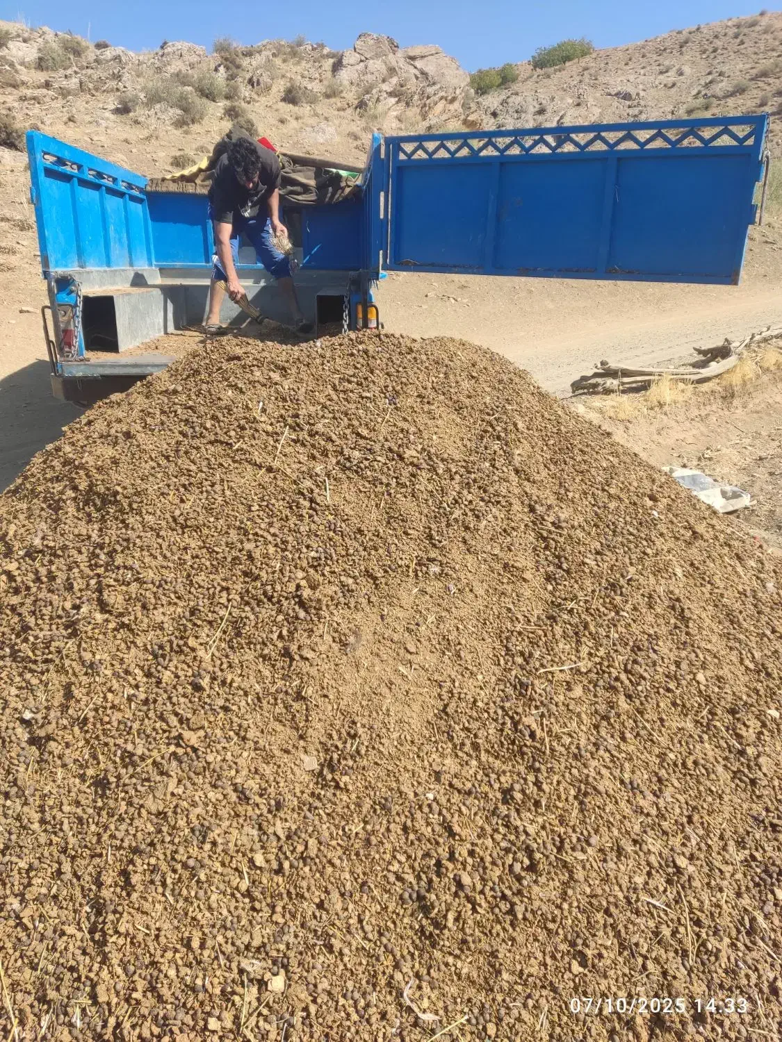 کود حیوانی|خدمات باغبانی و درختکاری|نورآباد, |دیوار