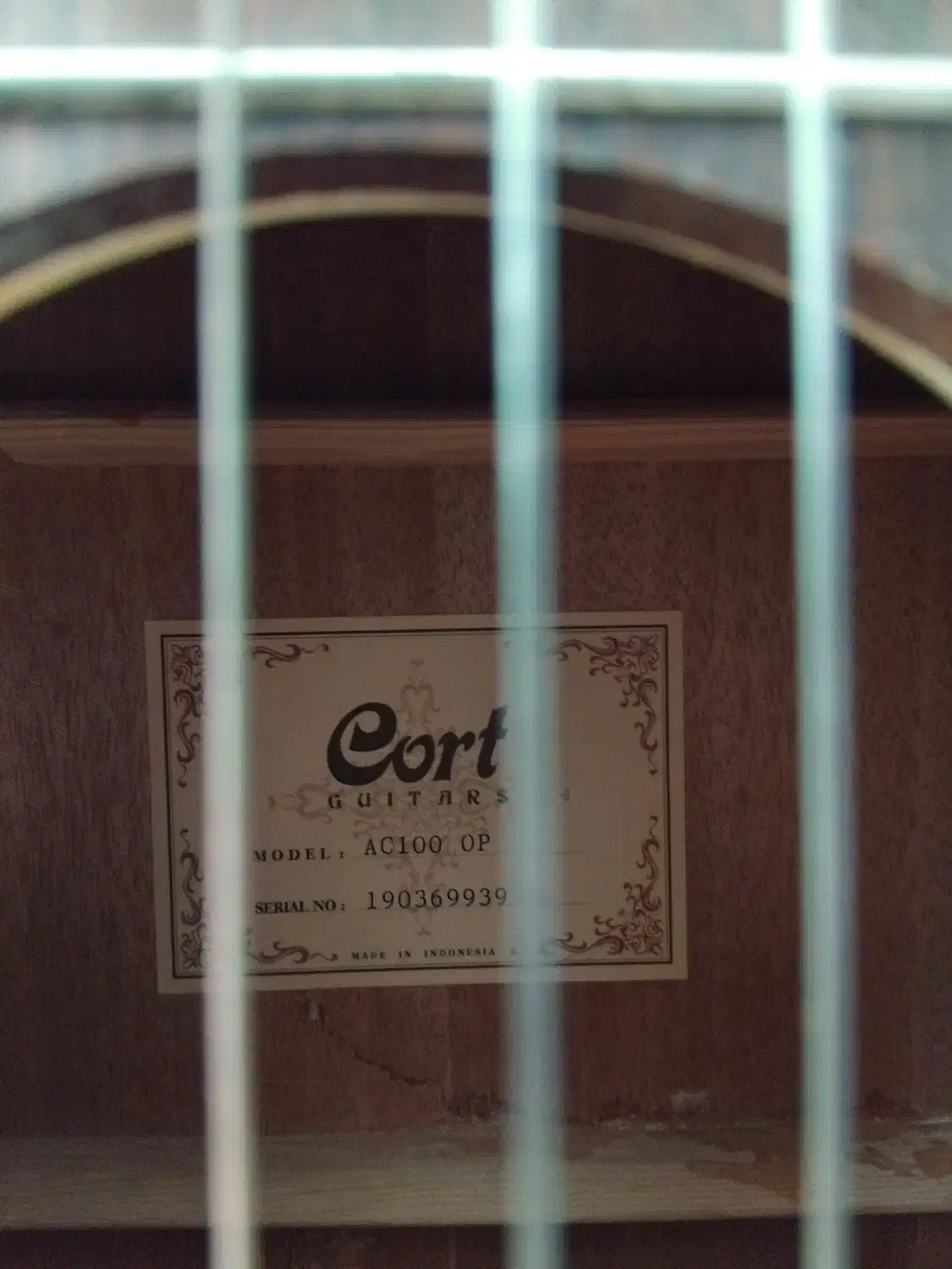 گیتار|گیتار، بیس، امپلیفایر|گلستان (تهران), |دیوار